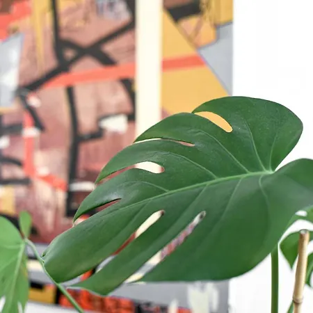 Appartement In Der Sonnenstadt *